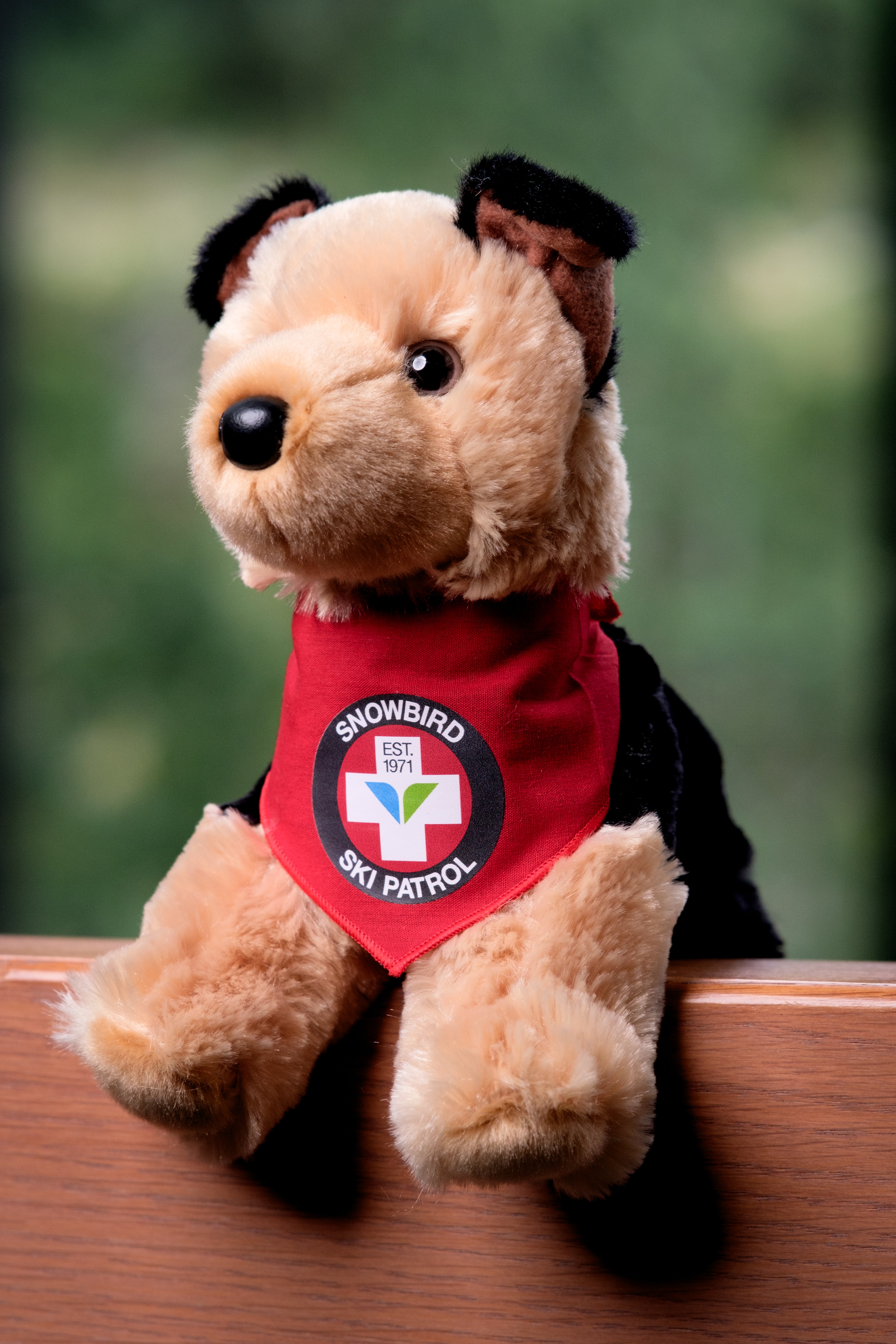 置物 WINTER MOUNTAINS Souvenirs & Gifts | Snowbird Store